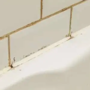 Cracked or discolored grout